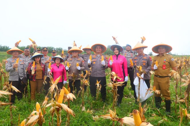 
					Panen Raya Jagung Tahap 1, Polres Tomohon Perkuat Ketahanan Pangan