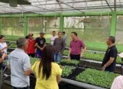 Wali Kota Caroll Senduk Pastikan Kesiapan Petani Bunga Jelang TIFF 2025