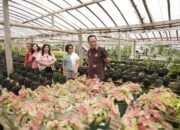 Pastikan TIFF 2025 Spektakuler, Wali Kota Caroll Cek Kesiapan SKPD