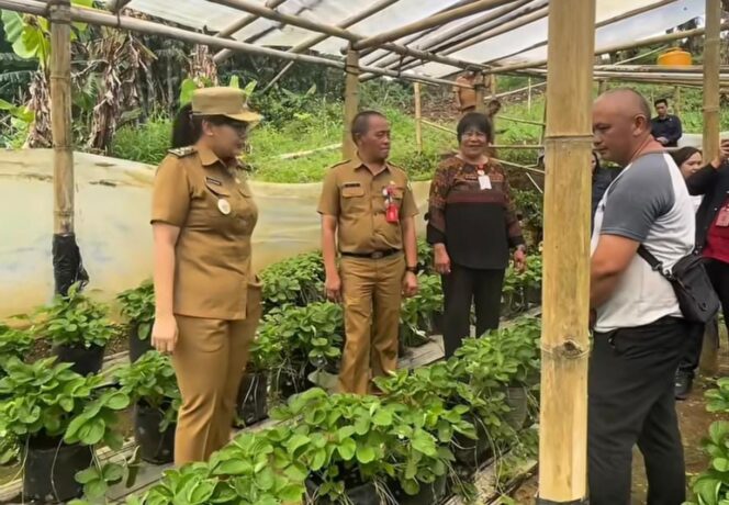 
					Wawali Sendy Rumajar Kawal Aspirasi Petani Rurukan, Bakal Lobi Bantuan di Kementerian