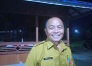 Petani Tomohon Tanam 378.000 Tangkai Bunga Krisan for TIFF, Karel Lala: Awal Agustus Full Panen