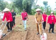 Caroll Senduk Ajak Warga Manfaatkan Lahan Tidur Topang Ketahanan Pangan